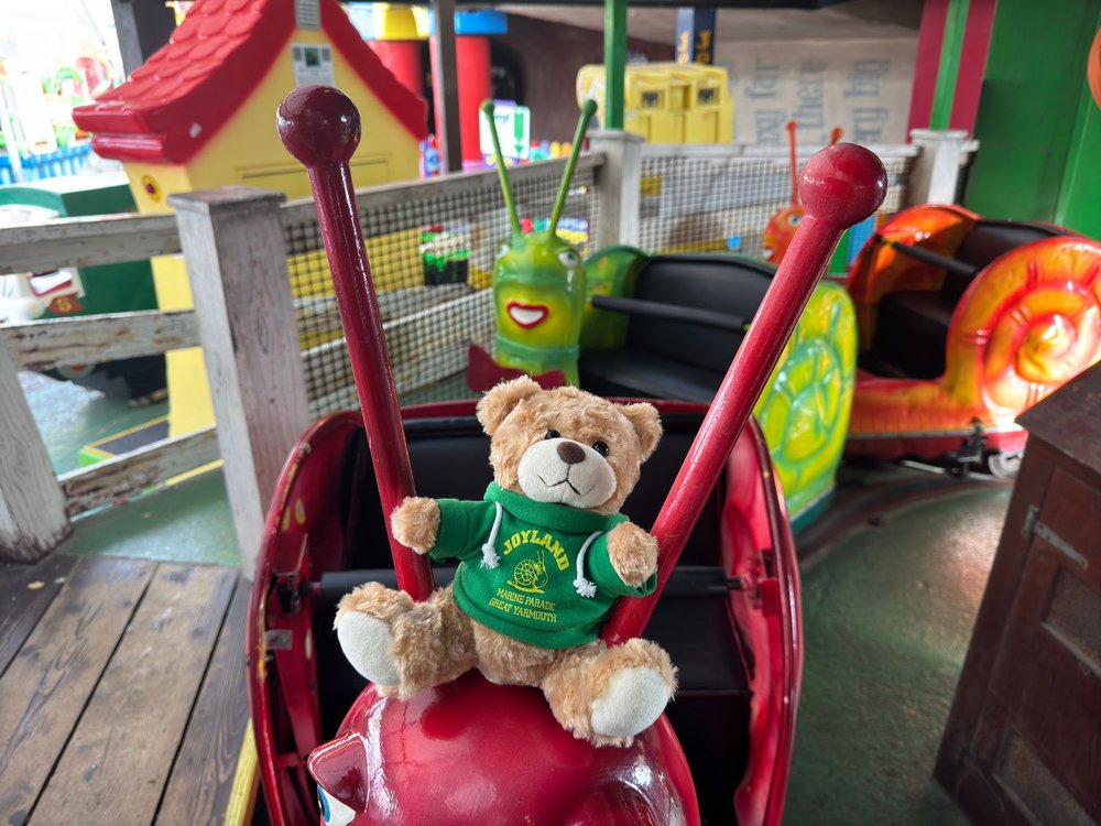 Joyland Bear with Hoodie Plush Teddy