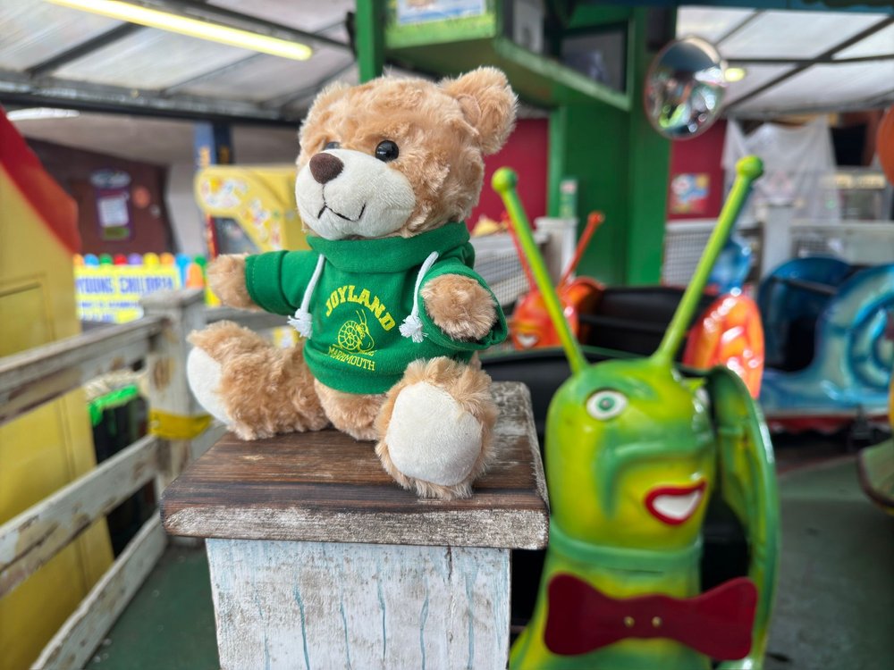 Joyland Bear with Hoodie Plush Teddy