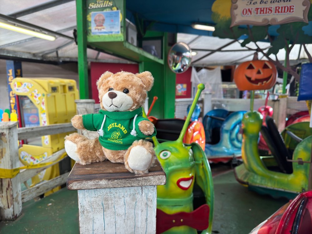 Joyland  Bear with Hoodie Plush Teddy